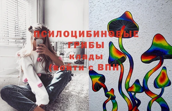 ешки Балахна