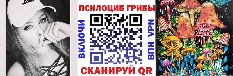 Псилоцибиновые грибы Psilocybe  Котовск 