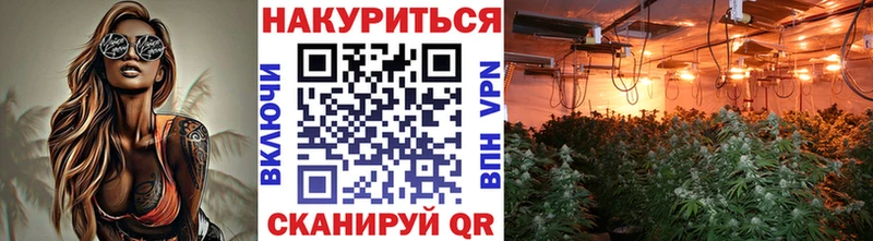 Каннабис индика  Котовск 